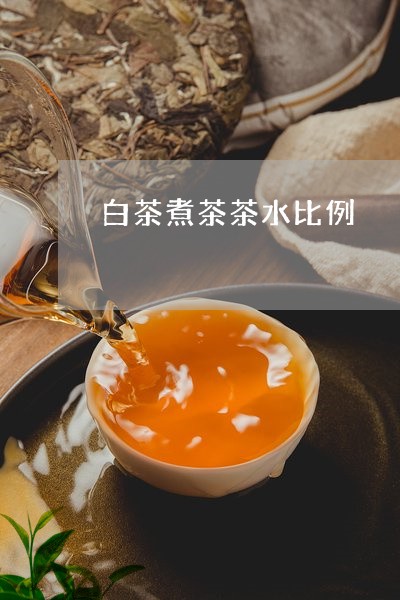 白茶煮茶茶水比例/2023080297582