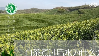 白茶煮过后水为什么会发红/2023110779594