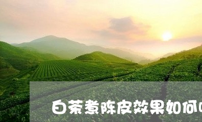 白茶煮陈皮效果如何呢视频/2023110736148