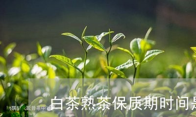 白茶熟茶保质期时间是多久/2023110739592