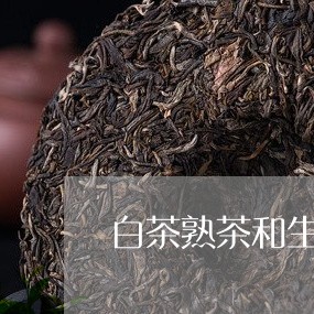 白茶熟茶和生茶区别/2023072437269