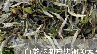 白茶熬制方法视频大全/2023100607484