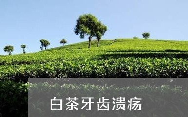 白茶牙齿溃疡/2023052098261