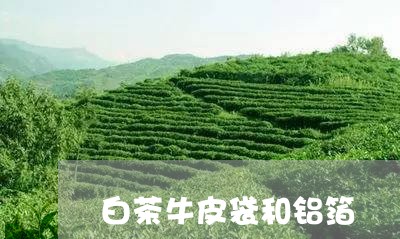 白茶牛皮袋和铝箔/2023080213814