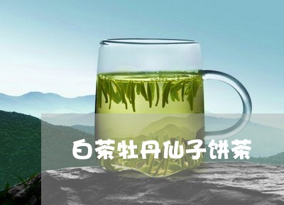 白茶牡丹仙子饼茶/2023080294938