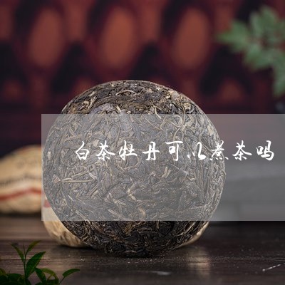 白茶牡丹可以煮茶吗/2023082640513