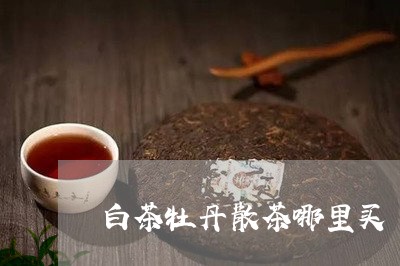 白茶牡丹散茶哪里买/2023072341582