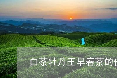 白茶牡丹王早春茶的价格/2023080153725