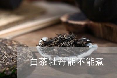 白茶牡丹能不能煮/2023080298160