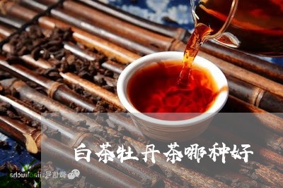 白茶牡丹茶哪种好/2023080288370