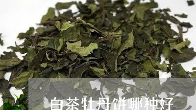 白茶牡丹饼哪种好/2023080278404