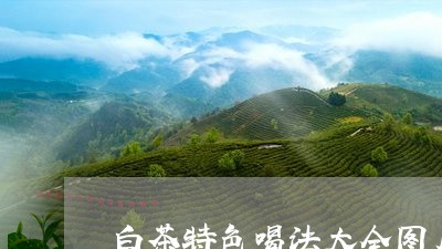 白茶特色喝法大全图片/2023100641383