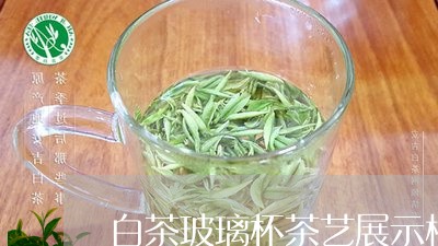 白茶玻璃杯茶艺展示柜/2023100605149