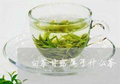 白茶甘露属于什么茶/2023072449514