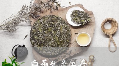 白茶生产工序/2023052007049