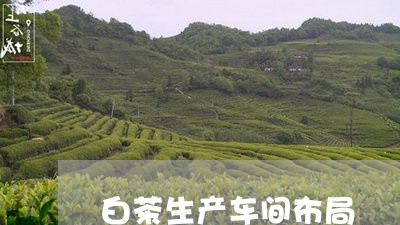 白茶生产车间布局/2023080212724