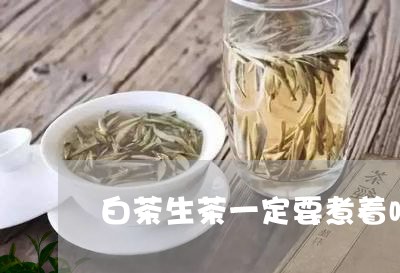 白茶生茶一定要煮着喝/2023100681714