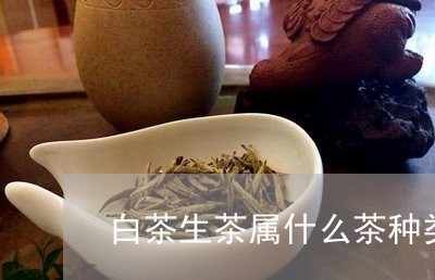 白茶生茶属什么茶种类图片/2023110783724