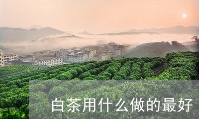 白茶用什么做的最好/2023072463160