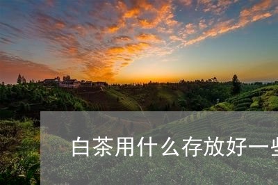 白茶用什么存放好一些/2023100791716