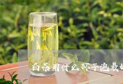 白茶用什么杯子泡最好喝/2023063033836