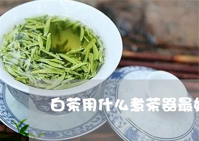 白茶用什么煮茶器最好/2023073118793