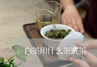 白茶用什么茶洗茶/2023080282936