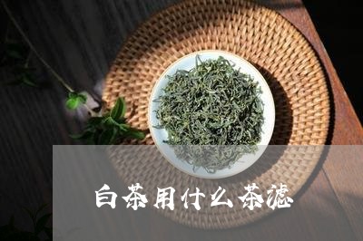 白茶用什么茶滤/2023060562739