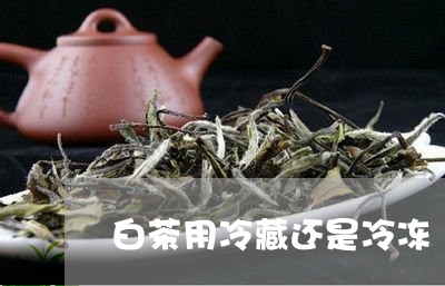 白茶用冷藏还是冷冻/2023072433048