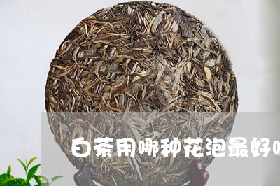 白茶用哪种花泡最好呢图片/2023110727371