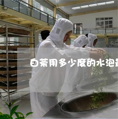 白茶用多少度的水泡最合适/2023110675826