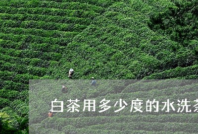 白茶用多少度的水洗茶/2023100653808