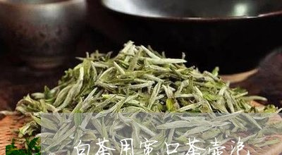 白茶用宽口茶壶泡/2023080286370