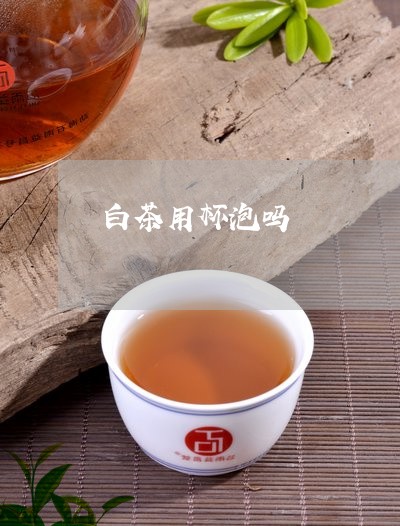 白茶用杯泡吗/2023052053914