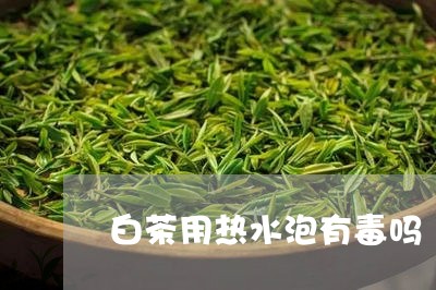 白茶用热水泡有毒吗/2023072335159