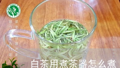 白茶用煮茶器怎么煮/2023072394813