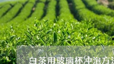 白茶用玻璃杯冲泡方法/2023100610493