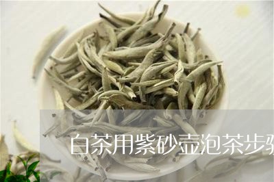 白茶用紫砂壶泡茶步骤/2023073036682