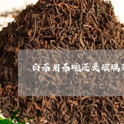 白茶用茶碗还是玻璃杯/2023100674264