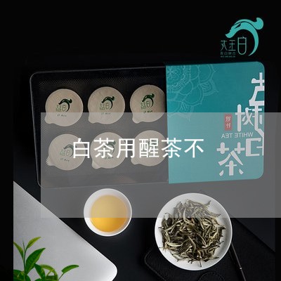 白茶用醒茶不/2023052093714