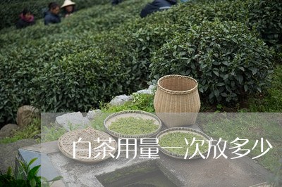 白茶用量一次放多少/2023072475038