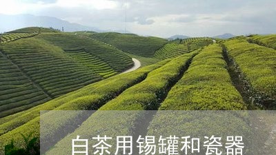 白茶用锡罐和瓷器/2023080227370