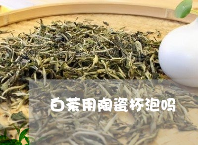 白茶用陶瓷杯泡吗/2023080223937