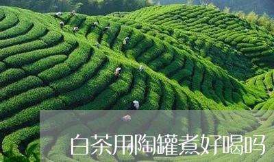 白茶用陶罐煮好喝吗/2023072485168