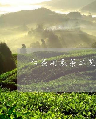 白茶用黑茶工艺制作能喝吗/2023110650493