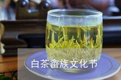 白茶畲族文化节/2023060516159