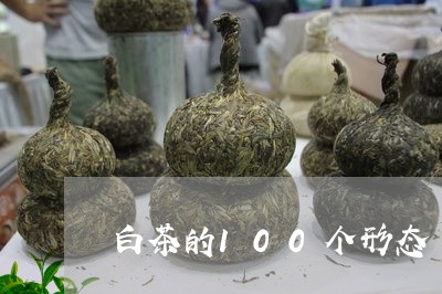 白茶的100个形态/2023121383826