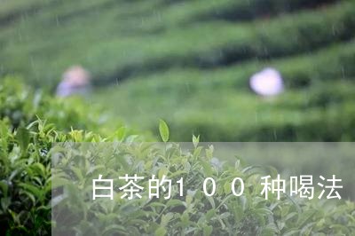 白茶的100种喝法/2023071373836