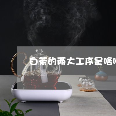 白茶的两大工序是啥啊/2023100688271