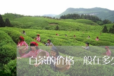 白茶的价格一般在多少之内/2023110632835